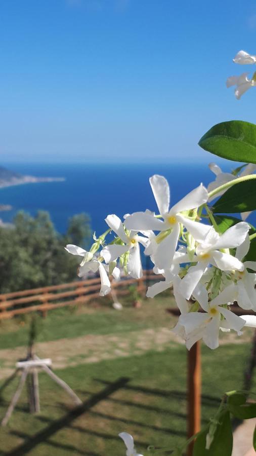 Tenuta Belvedere Cilento Montecorice Zewnętrze zdjęcie