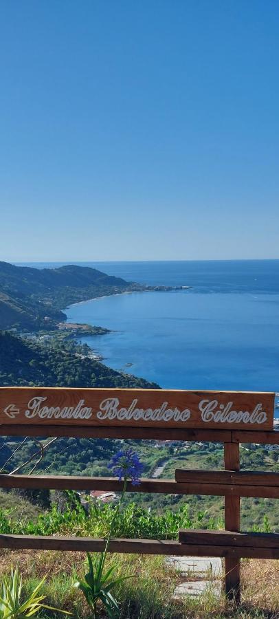 Tenuta Belvedere Cilento Montecorice Zewnętrze zdjęcie