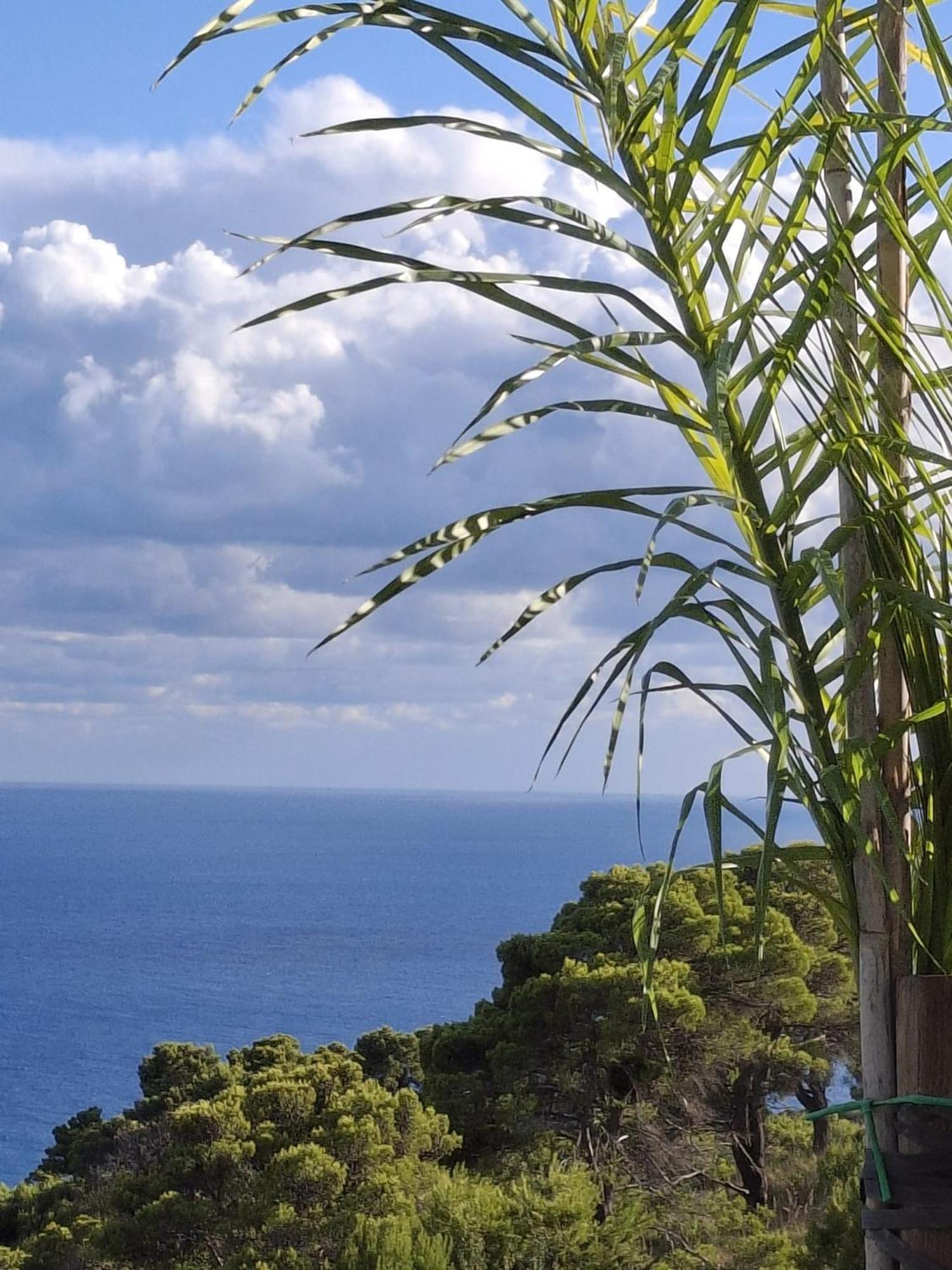 Tenuta Belvedere Cilento Montecorice Zewnętrze zdjęcie